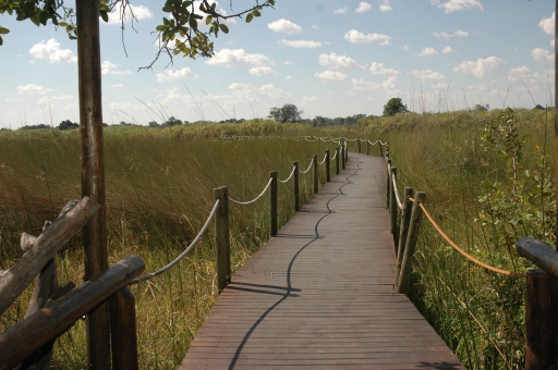 Walkway to boat dock 